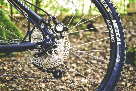 8 Reasons Why You Should Start Cycling Today